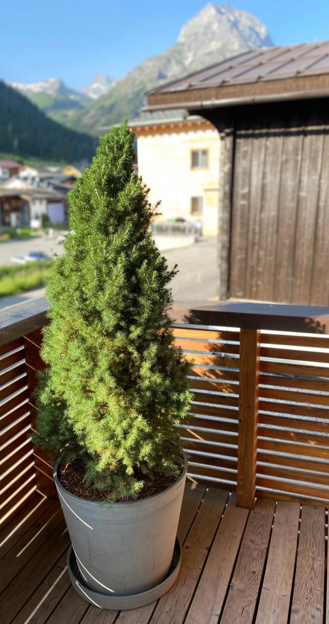 Naturhaus Loacker 莱赫阿尔贝格 外观 照片